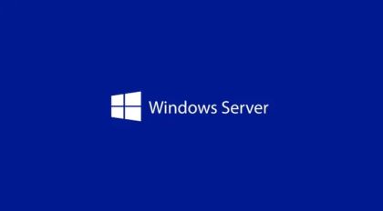 Програмен продукт с лицензен стикер Windows Server CAL 2025 English 1pk DSP OEI 1 Clt User CAL