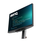 Монитор BenQ RD240Q, 24.1