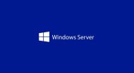 Програмен продукт с лицензен стикер Windows Server CAL 2025 English 1pk DSP OEI 1 Clt User CAL