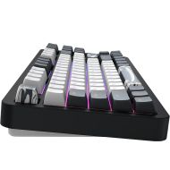 Геймърскa механична клавиатура Dark Project ALU87B Bushido RGB