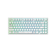 Геймърскa безжична клавиатура Dark Project ALU81A Terra Nova White RGB