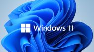 Програмен продукт с лицензен стикер Microsoft Windows 11 Pro 64Bit Bulgarian 1pk DSP OEI DVD