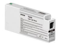 EPSON 1LB Singlepack Light Light Black T54X900 UltraChrome